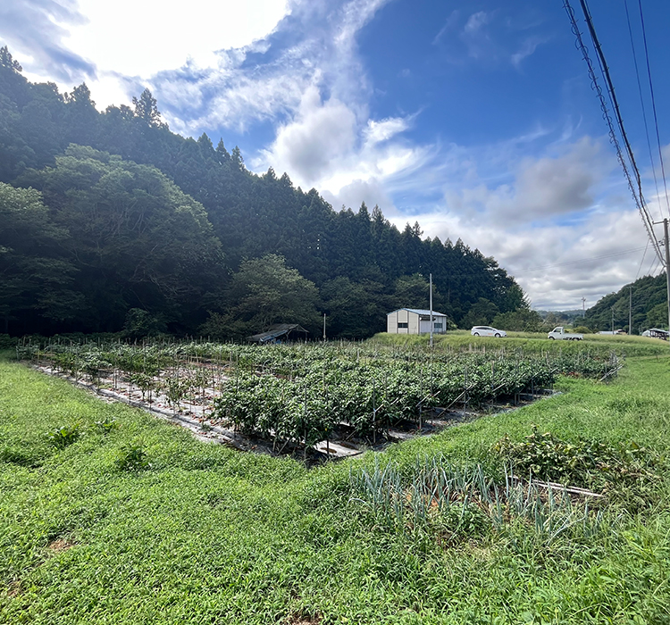旅の思い出を自分でつくる